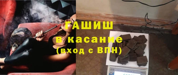 СК Ельня